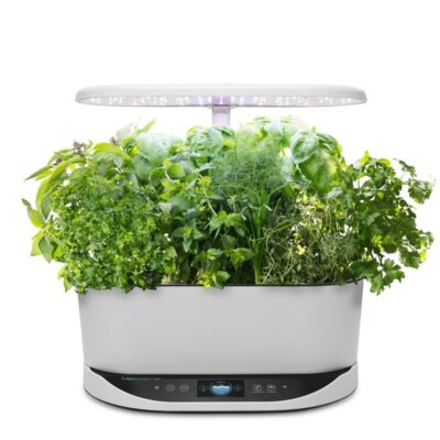 Aerogarden Bounty With Herbs