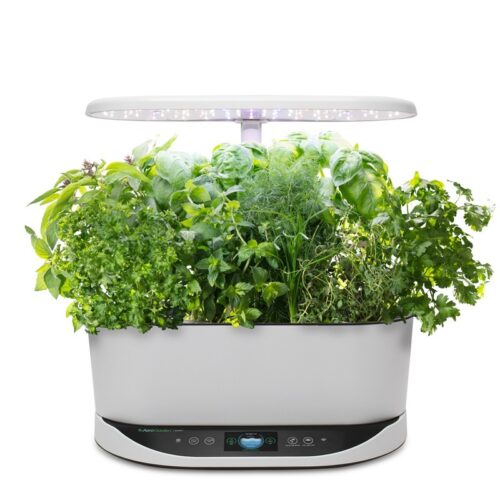 Aerogarden Bounty @ The Market | Curated By We Want Veggies